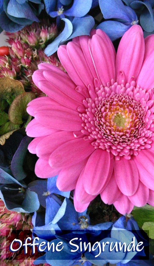 rosa Blüte und ein Schriftzug "Offene Singrunde"